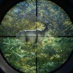Introducing theHunter: Call of the Wild
